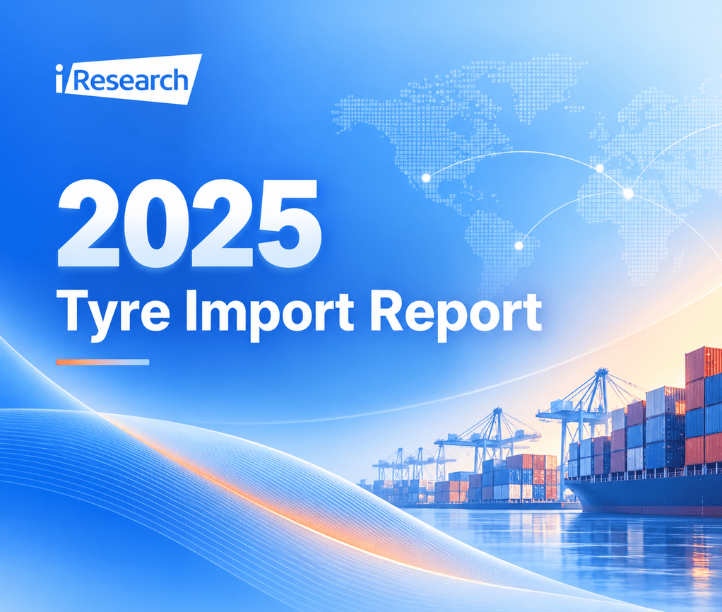 2025 Tyre Import Report